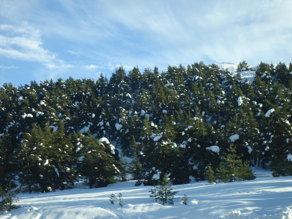 Apartment Face Aux Pistes Greolieres les Neiges Ngoại thất bức ảnh