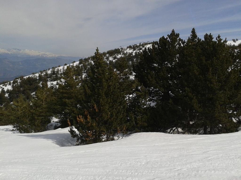 Apartment Face Aux Pistes Greolieres les Neiges Ngoại thất bức ảnh